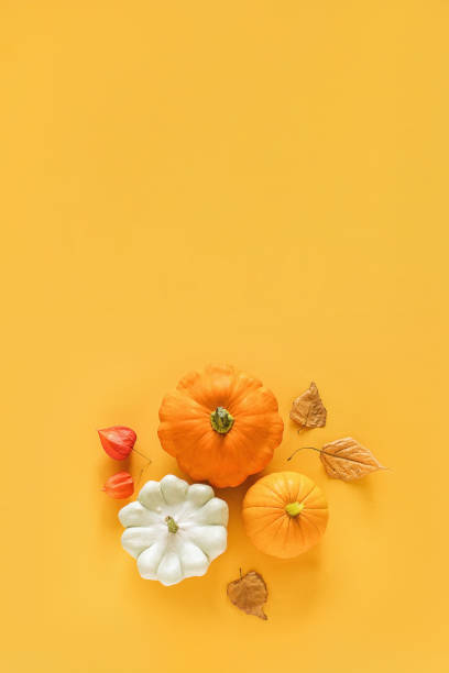 istock Autumn composition. Fresh three pattypan squash, pumpkin and autumn leaves herbarium on yellow background with copy space. Top view Flat lay 1256030521