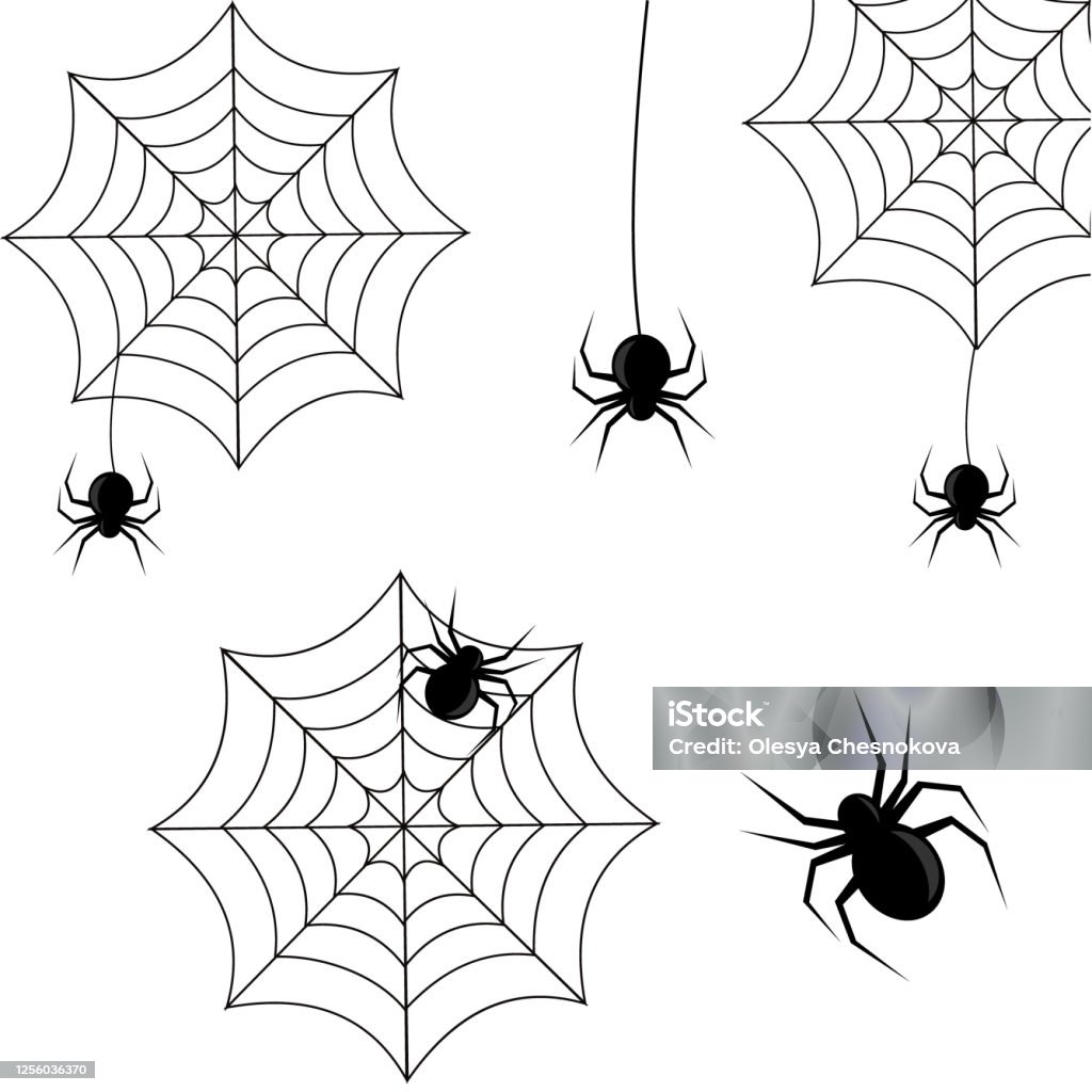 Bộ Nhện Trên Một Mạng Lưới Màu Đen Trên Nền Trắng Cho Halloween ...