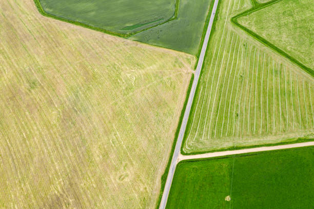 istock aerial top view of agricultural fields with different crops 1256037519