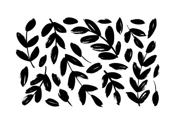 pinselverzweigungen mit blätter vektorsammlung. satz von schwarzen silhouetten blätter und zweige. - olive tree illustrations stock-grafiken, -clipart, -cartoons und -symbole