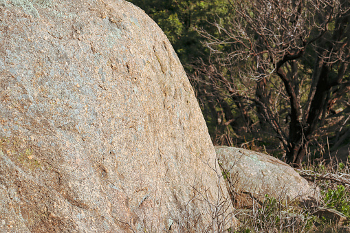 rock formations in the you yangs makes for an interesting bush walk, as well as exposure to the world of geology!