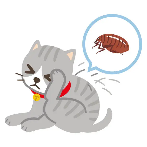 Vector illustration of Flea from cat fur harmful bio organism vector illustration