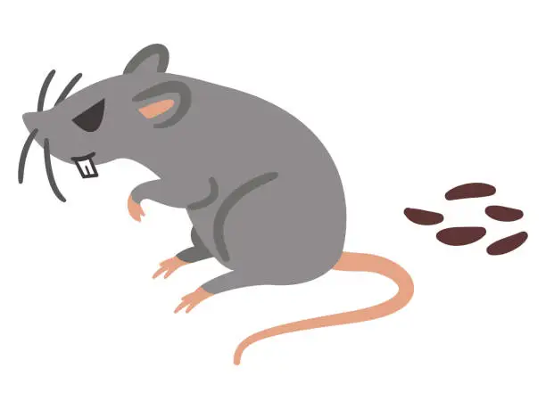 Vector illustration of Illustration of a ferocious rat and feces