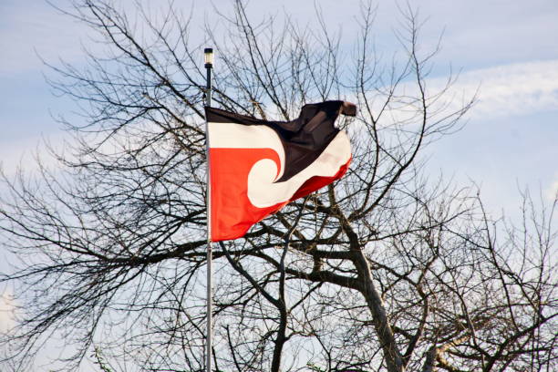 bandiera di tino rangatiratanga o bandiera māori in cielo - waitangi day foto e immagini stock