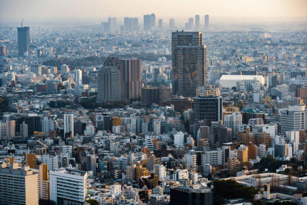 istock Tokyo city, Japan 1256052596