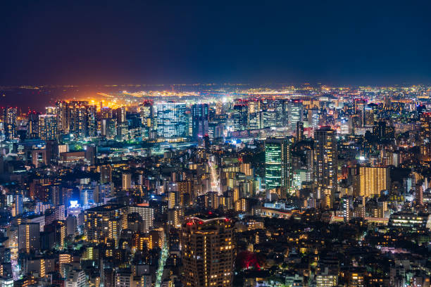 istock Tokyo city at twilight, Japan 1256052622