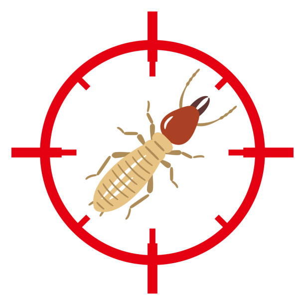 Termite icon red target. Insect pest control sign Termite icon red target. Insect pest control sign termite stock illustrations