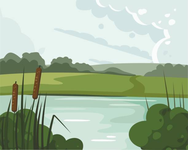 illustrations, cliparts, dessins animés et icônes de paysage de fleuve avec le roseau. illustration de nature - zone humide