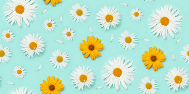 istock Garden flowers over blue background seamless 1256058274