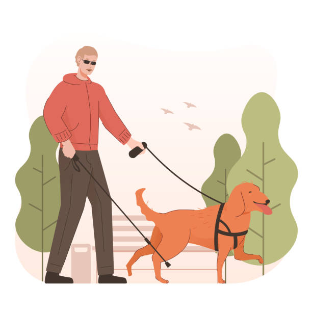 ilustrações, clipart, desenhos animados e ícones de cego com bengala e cão-guia no parque. pessoas com deficiência - eyesight senior adult care support