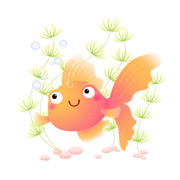 illustrations, cliparts, dessins animés et icônes de or de dessin animé mignon d’illustration de vecteur dans un aquarium. - natural pool fish sea water