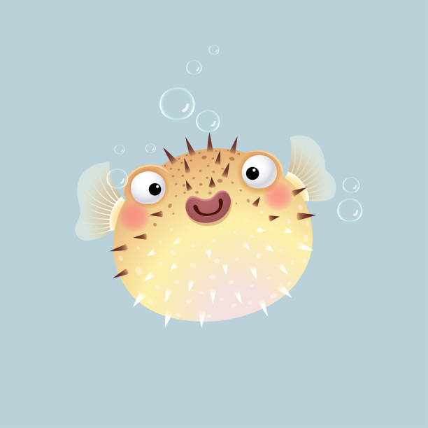 4,236 Puffer Fish Illustrations & Clip Art - iStock | Puffer fish isolated, Puffer  fish illustration, Puffer fish pattern