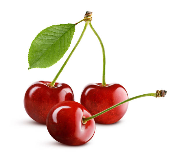 istock three ripe sweet cherries isolated on white background 1256062797