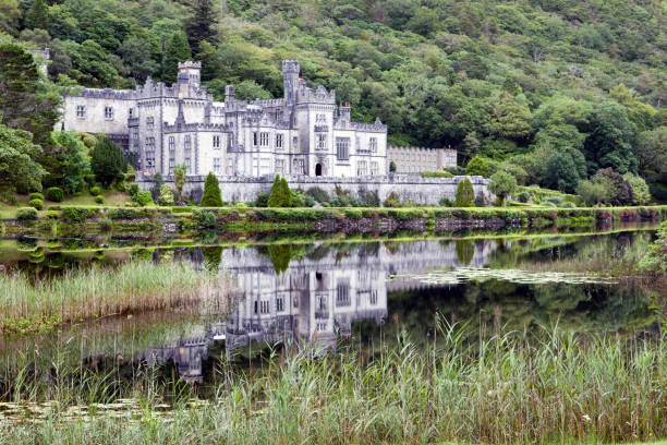 istock Ireland, Europe 1256062891