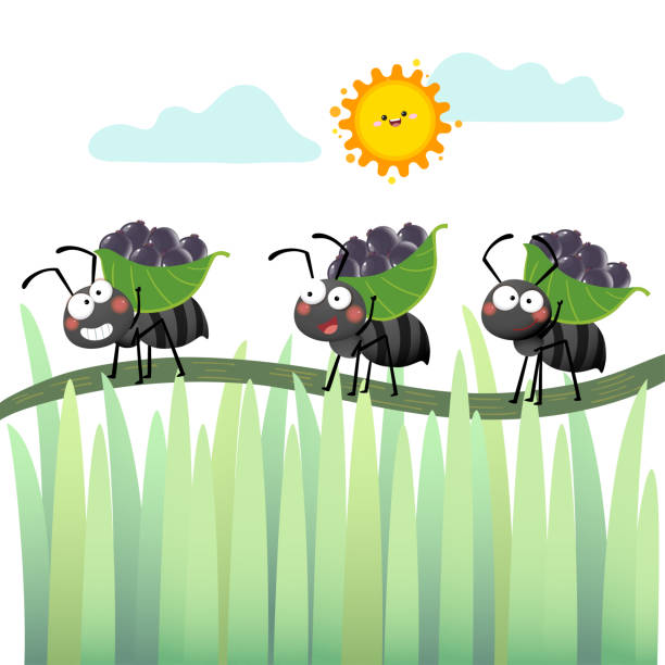 Vector illustration of a cartoon colony of black ants carrying berries and walking across the branch. Vector illustration of a cartoon colony of black ants carrying berries and walking across the branch. ants teamwork stock illustrations