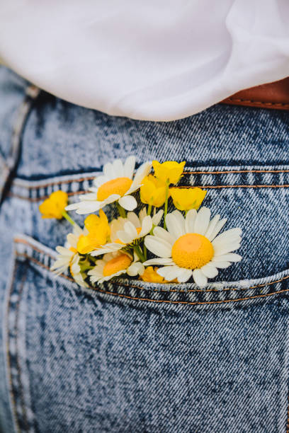 istock chamomile in woman back pocket 1256065789