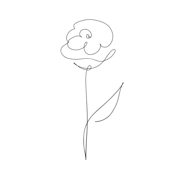 Abstract rose in continuous line art drawing style Simple minimalistic design. Black single line sketch on white background. black and white rose stock illustrations