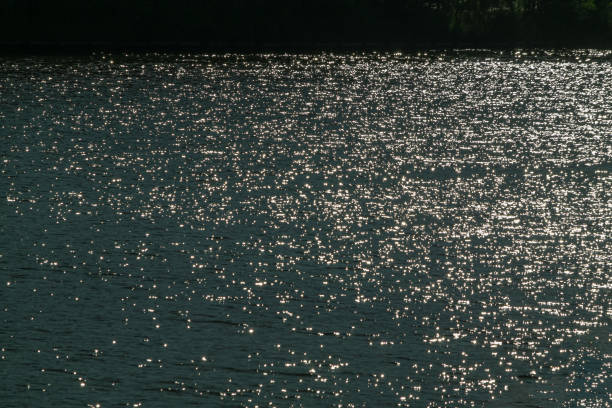 ripples reflected in sunset on water