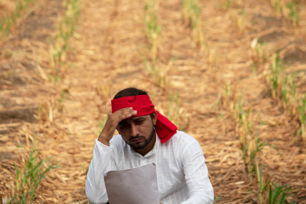 istock Stressed farmer with unpaid bills on agricultural field 1256067691