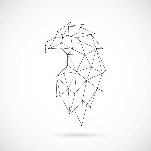 Abstract polygonal eagle head. Low poly stylized linear eagle construction. Vector illustration isolated on white background. Abstract polygonal eagle head. Low poly stylized linear eagle construction. Vector illustration isolated on white background. spotted eagle stock illustrations