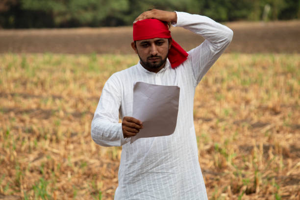 istock Worried farmer reading bills on agricultural field 1256068430