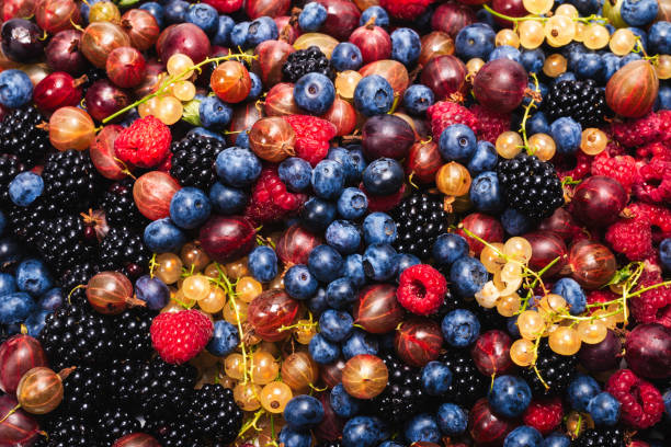 istock Gooseberries, blueberries, mulberry, raspberries, white and red currants. 1256068863