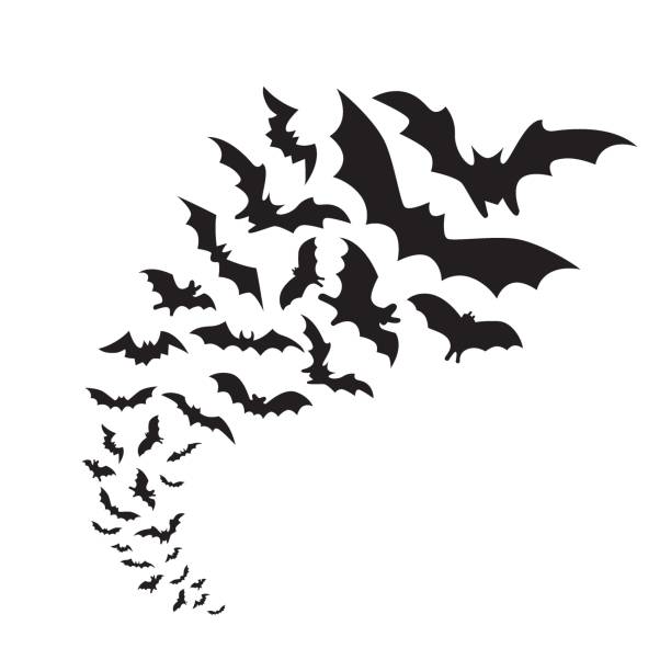 Bats Flying bats group isolated on white background. Black night bat silhouettes vampire stock illustrations