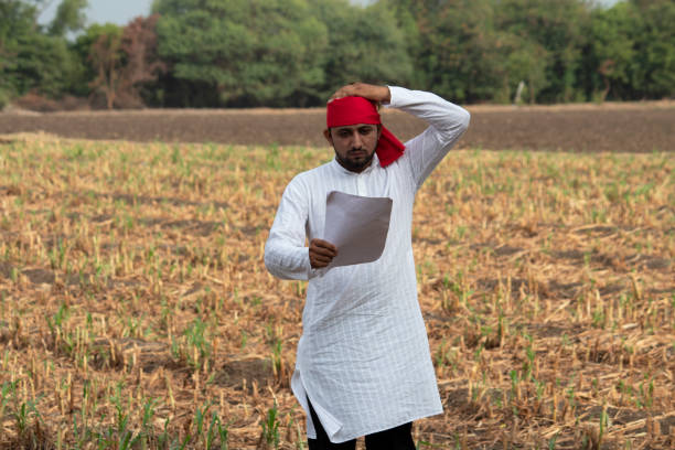 istock Worried farmer reading bills on agricultural field 1256072107