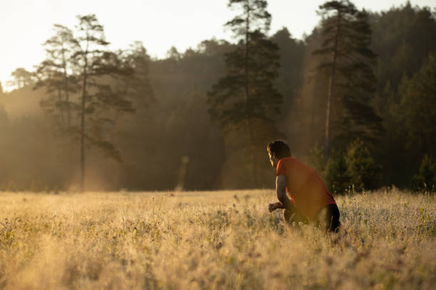 istock Morning jogging in a field 1256072213