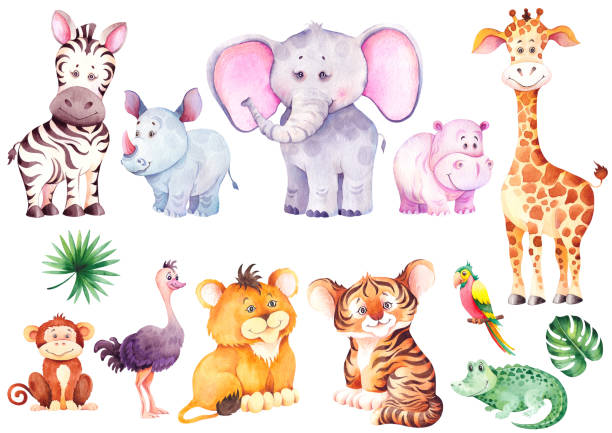 ilustrações de stock, clip art, desenhos animados e ícones de big set of cute african animal cubs. - ostrich ape animal monkey