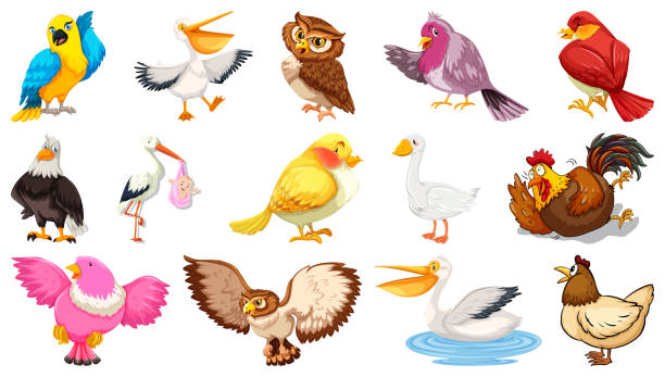 istock Set of different birds cartoon style isolated on white background 1256078449