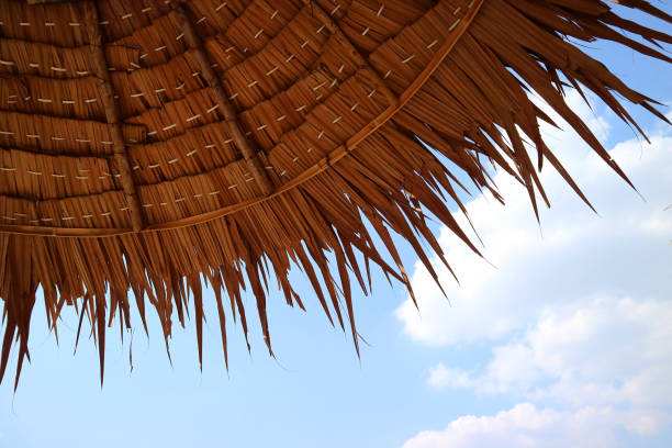 istock Thatched Beach Parasol against Blue Sunny Sky 1256078971