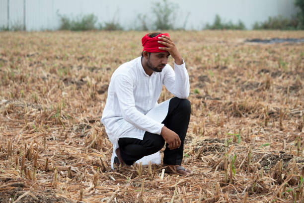 istock Depressed farmer on agriculture field 1256079520