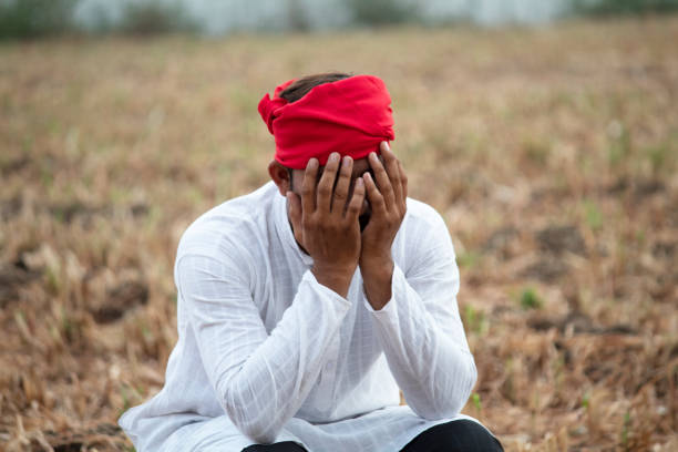 istock Depressed farmer on agriculture field 1256079886