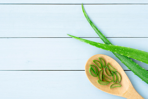 Green fresh aloe vera leaf with sliced in wooden spoon isolated on white background.Natural herbal medical plant ,skincare ,health and beauty spa concept. Clipping path. Top view.