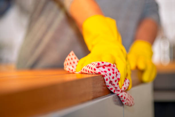 istock Domestic help in cleaning 1256081217