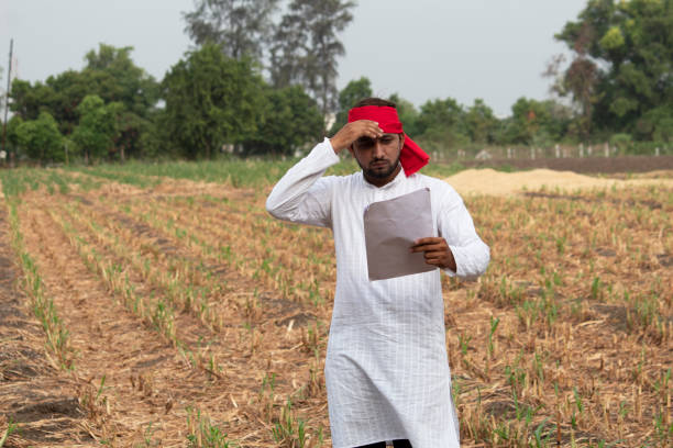 istock Stressed farmer reading contract on agricultural field 1256081337