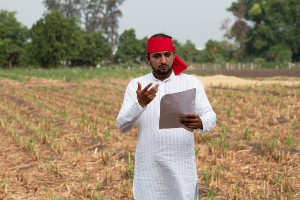 istock Stressed farmer reading contract on agricultural field 1256081539