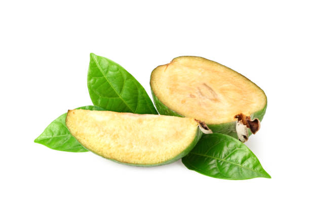 feijoa de fruta tropical con rodajas aisladas sobre fondo blanco. acca sellowiana - feijoas ripe fruit iodine fotografías e imágenes de stock