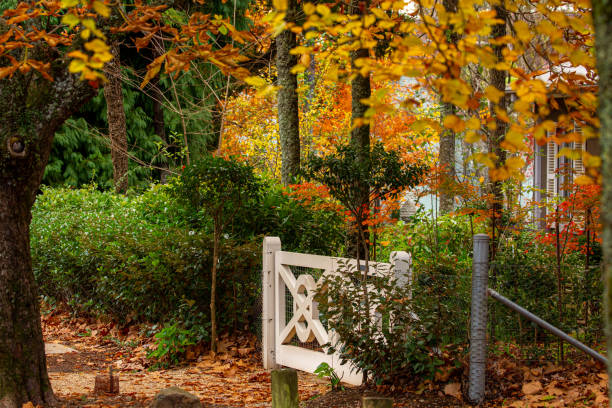 istock White timber gate and Autumn gardens of deciduous trees 1256084371