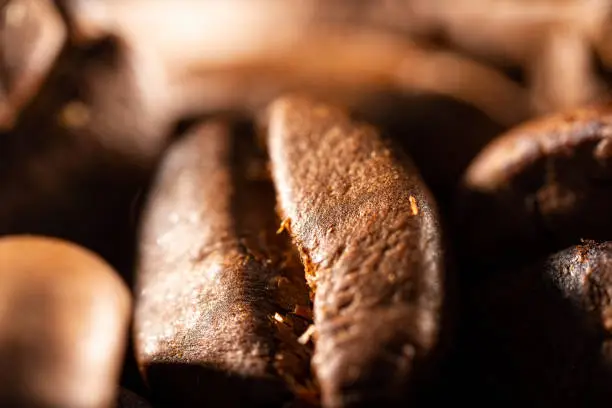 Extreme macro photo of roasted coffee beans