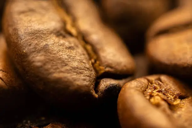 Extreme macro photo of roasted coffee beans
