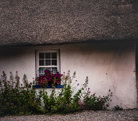 Limerick, Ireland - 09 19 2015: traditional and historic Adare cottages with typical thatched roof and colorful facades.