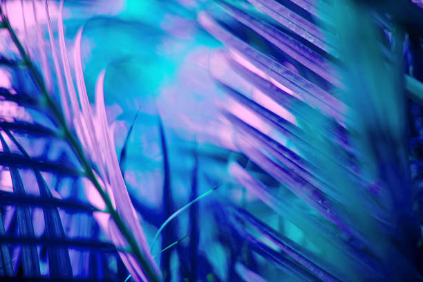 istock Neon colored palm tree leaves. Tropical trees background 1256087674