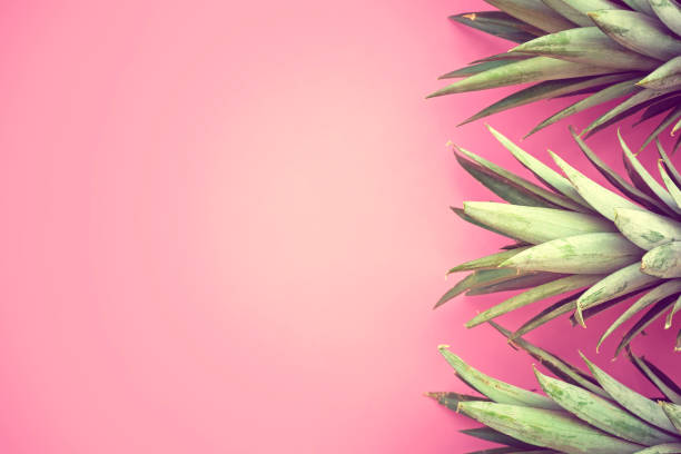 telaio della testa di ananas su sfondo pastello rosa - pastel colored foto e immagini stock