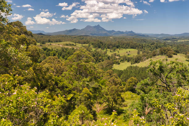 istock Australian bush country, fields and trees in a landscape view 1256091478