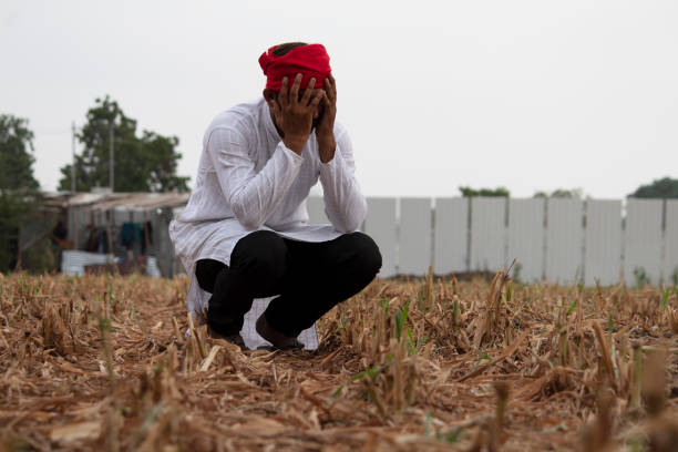 Depressed farmer on agriculture field
