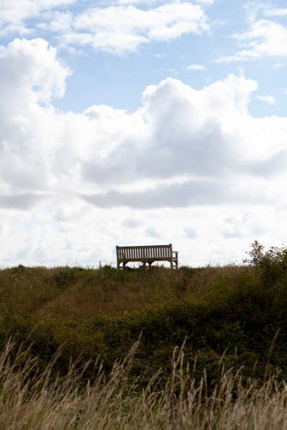 Empty public bench on a raised embankment looking over River Chelmer in Essex photographed from behind