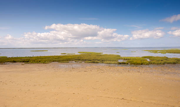 istock Views of Arcachon Bay from Lanton 1256094107