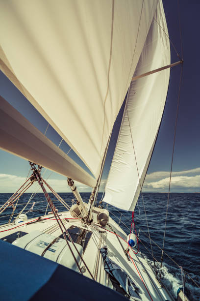 istock adventure man sailing on Aadriatic sea 1256094965